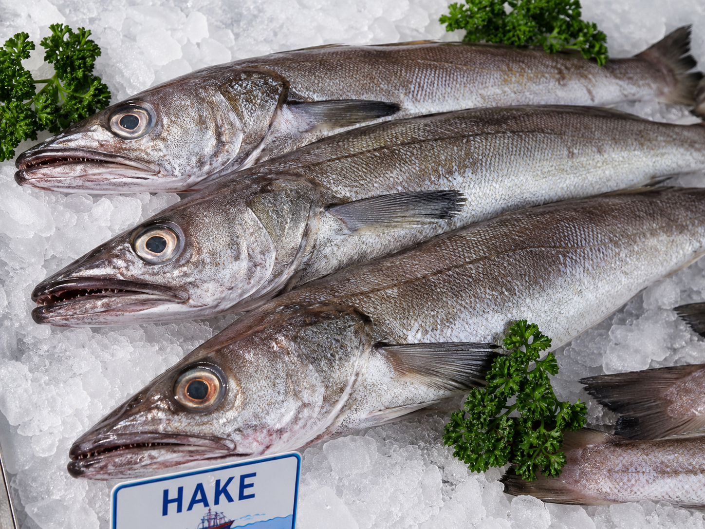 FRESH Hake Portions - 160g