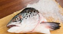 Complimentary Fish Head